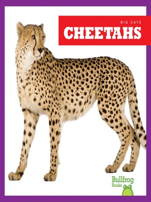 cover image of Cheetahs